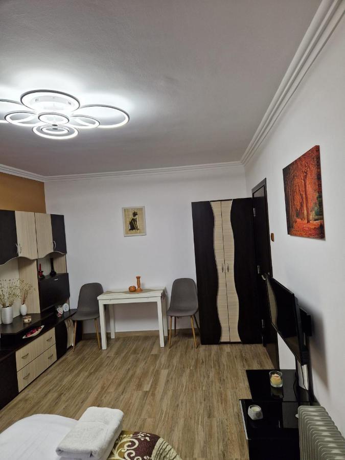 شقة Garsoniera Băile Herculane المظهر الخارجي الصورة